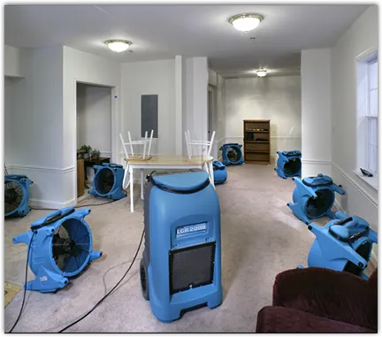 Basement Flood Cleanup in Belmont, CA