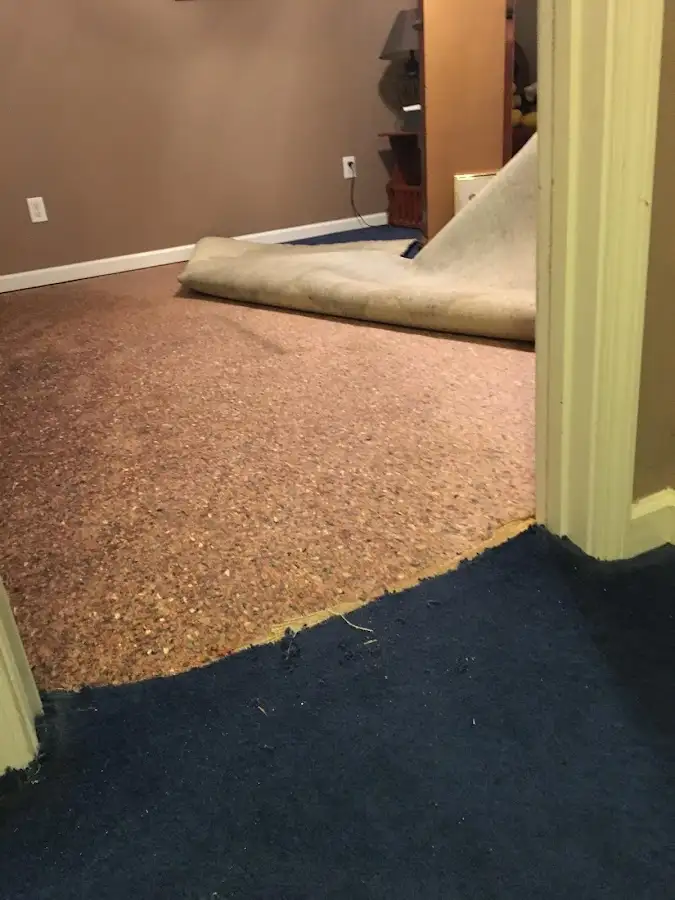 Carpet pad removal revealing water damage during Water Mitigation Services in Belmont